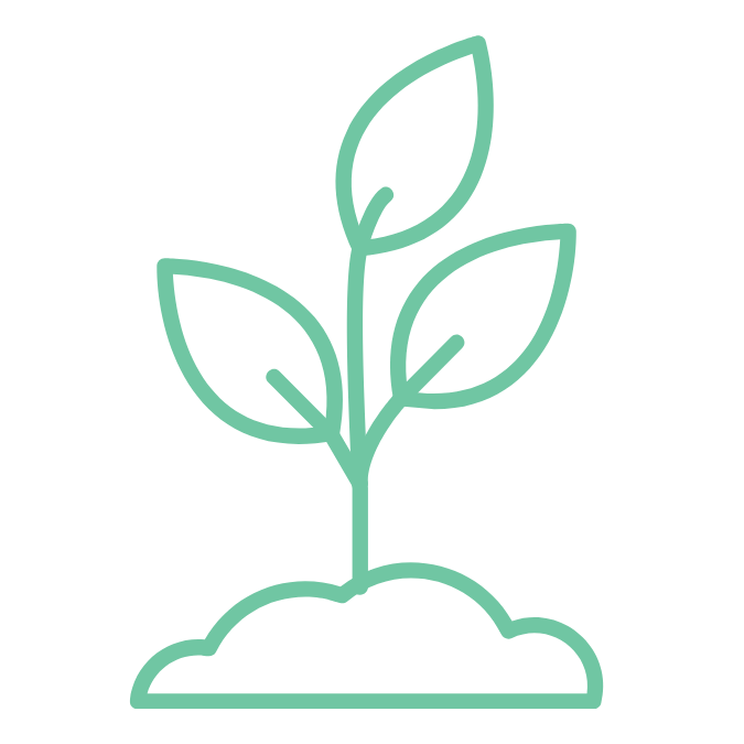 icon of a plant growing in in the ground